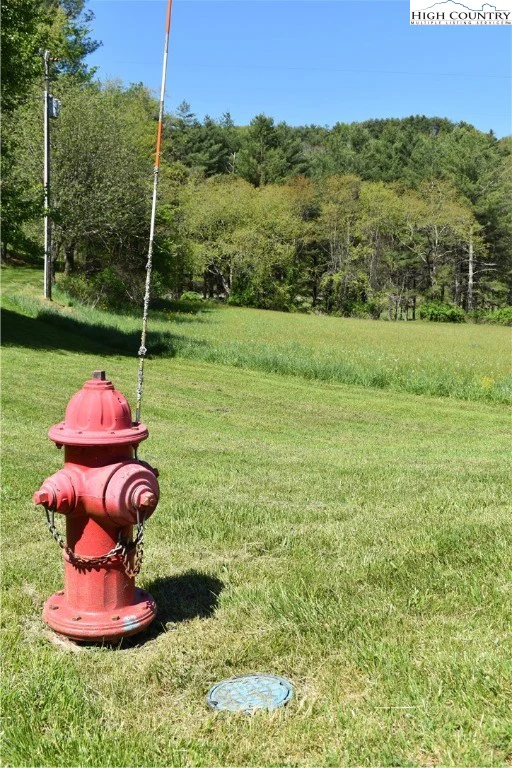 Image number 1 for the current listing