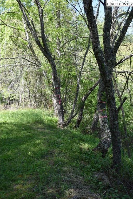 Image number 17 for the current listing
