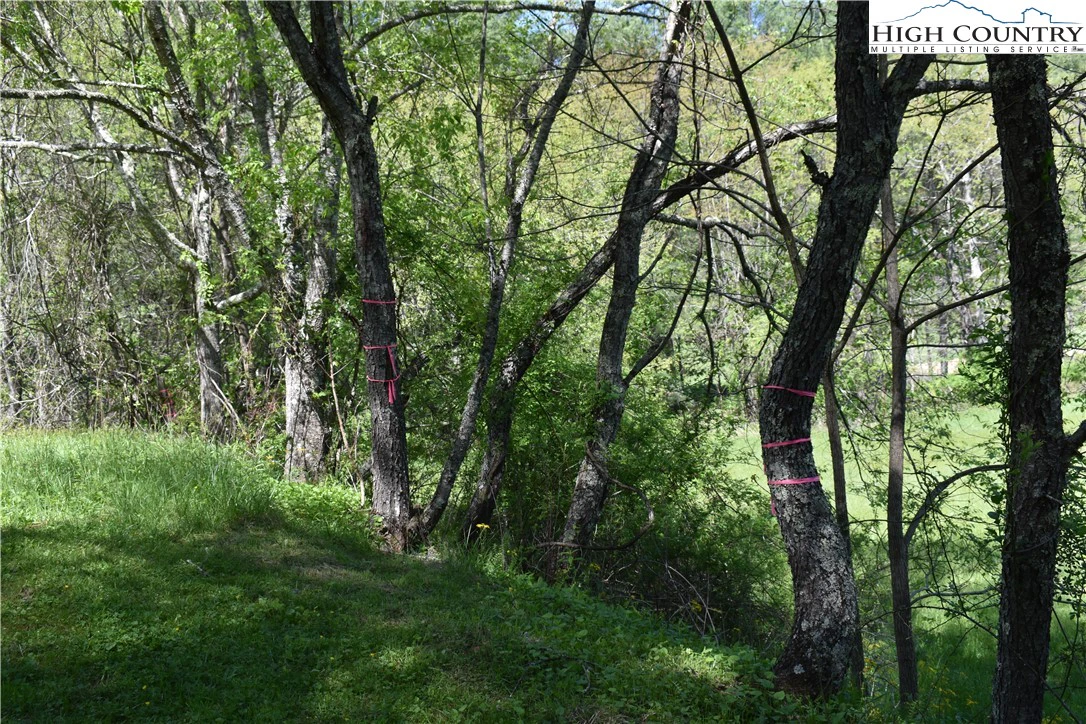 Image number 16 for the current listing