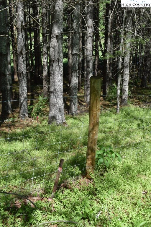 Image number 14 for the current listing