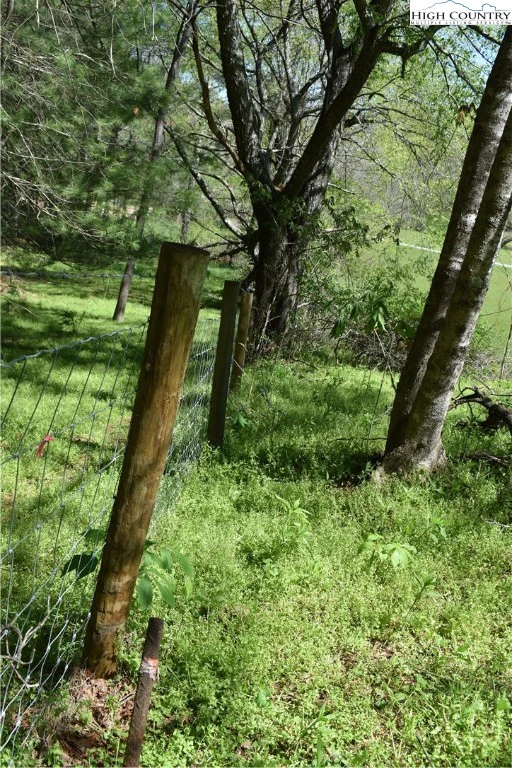 Image number 13 for the current listing