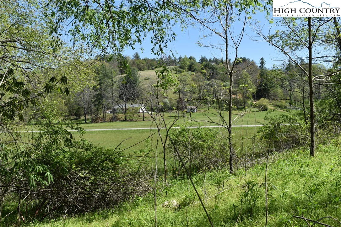 Image number 12 for the current listing