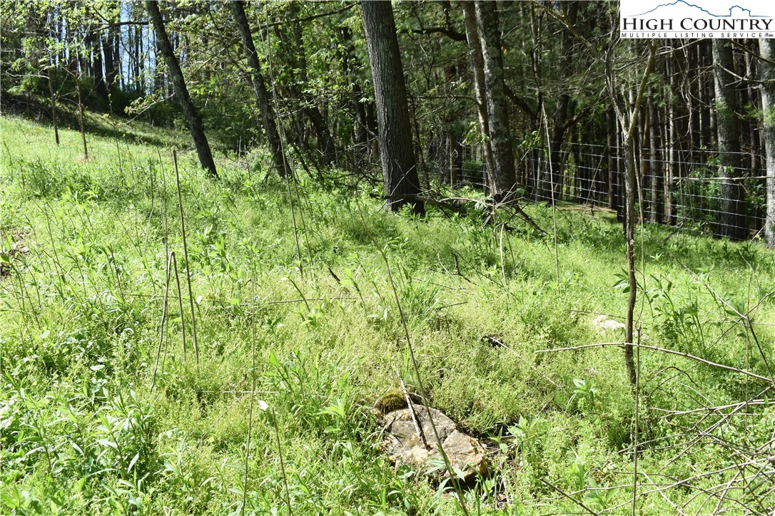 Image number 11 for the current listing
