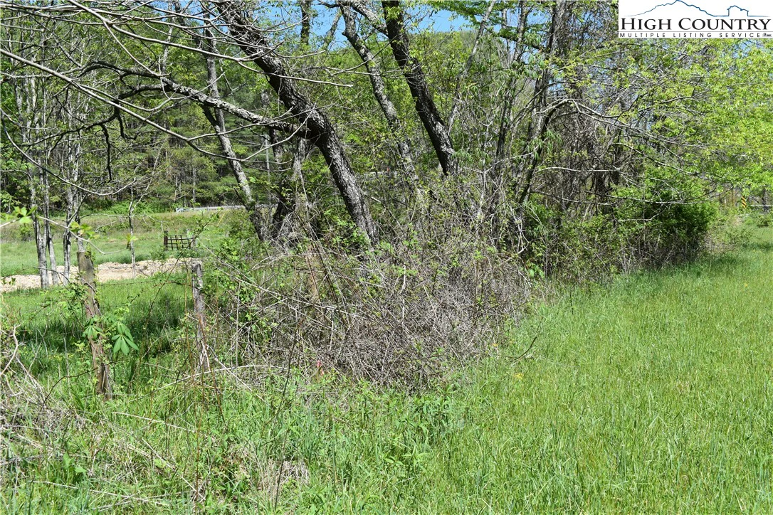 Image number 6 for the current listing