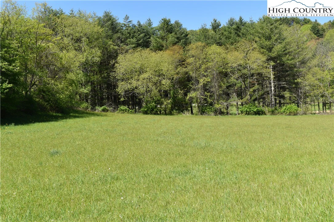Image number 3 for the current listing