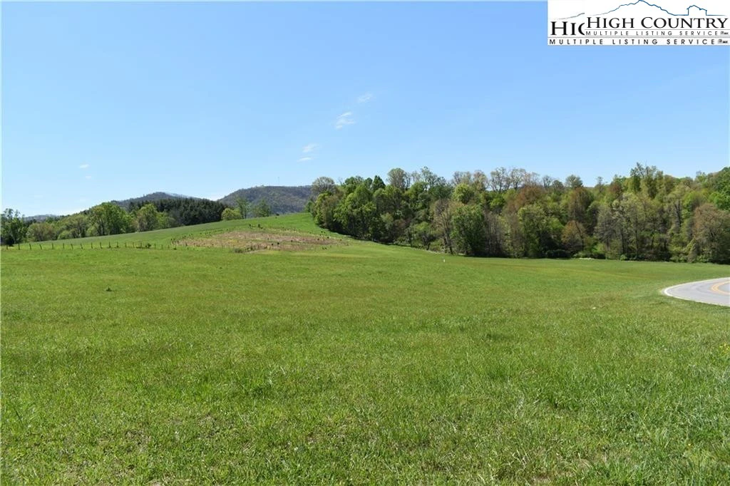 Image number 1 for the current listing