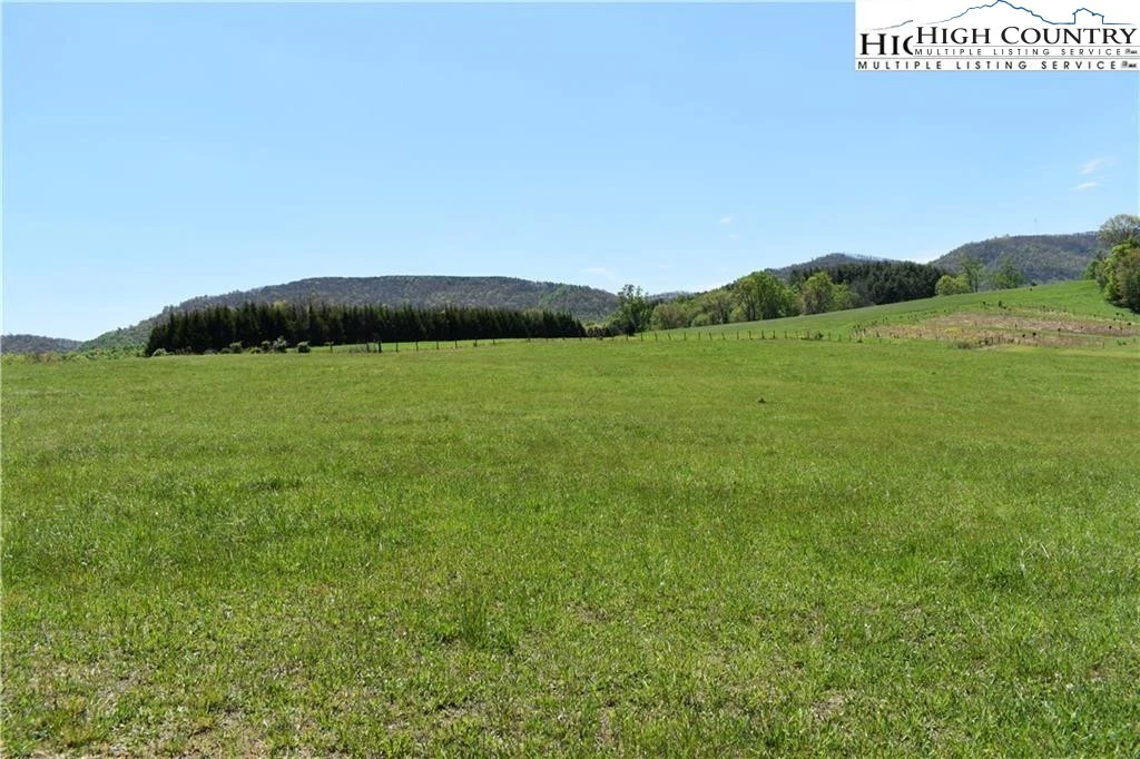 Image number 4 for the current listing