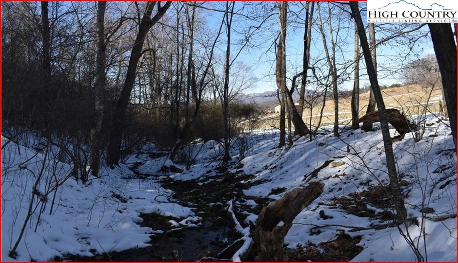 Image number 8 for the current listing