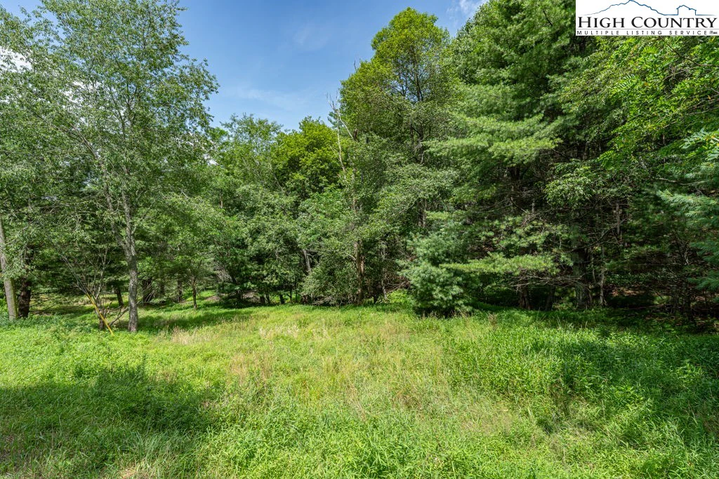 Image number 1 for the current listing