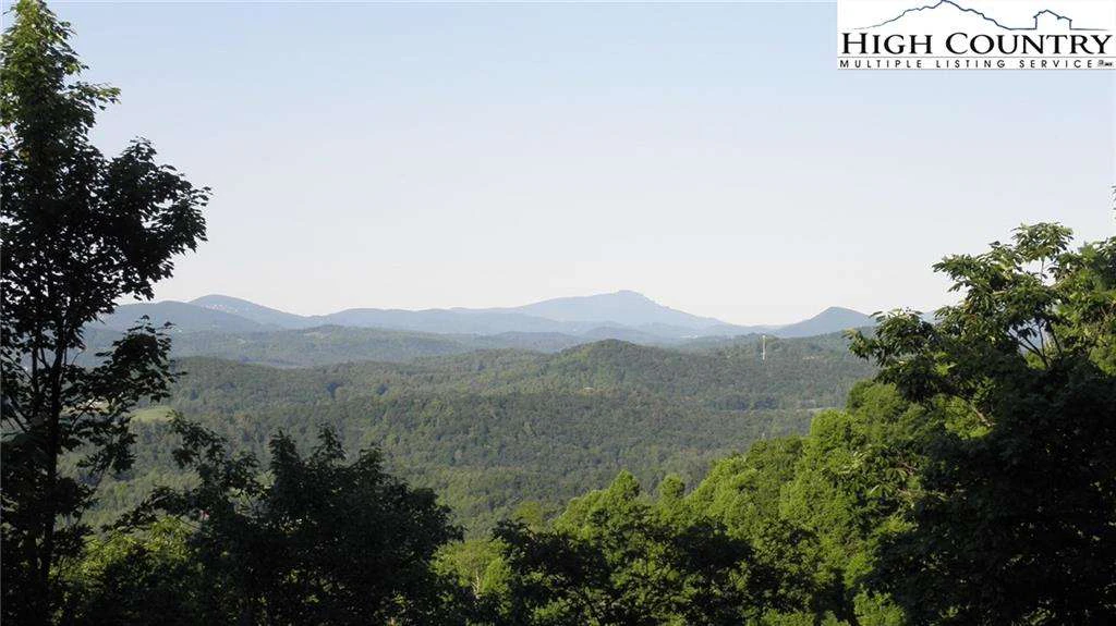 Image number 1 for the current listing