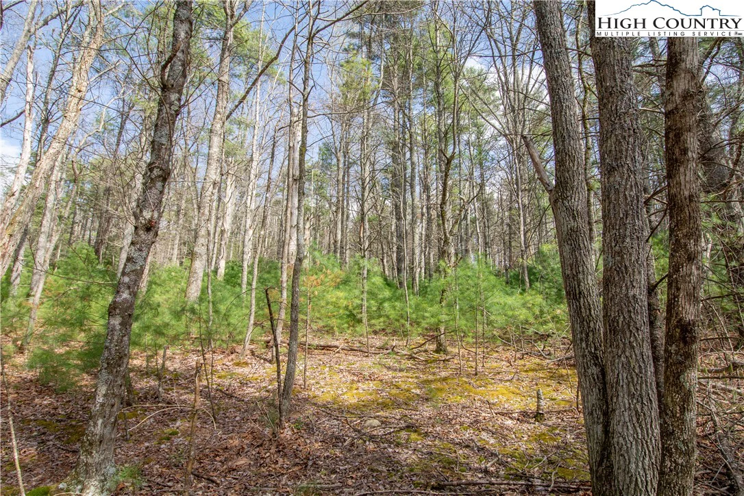 Image number 1 for the current listing