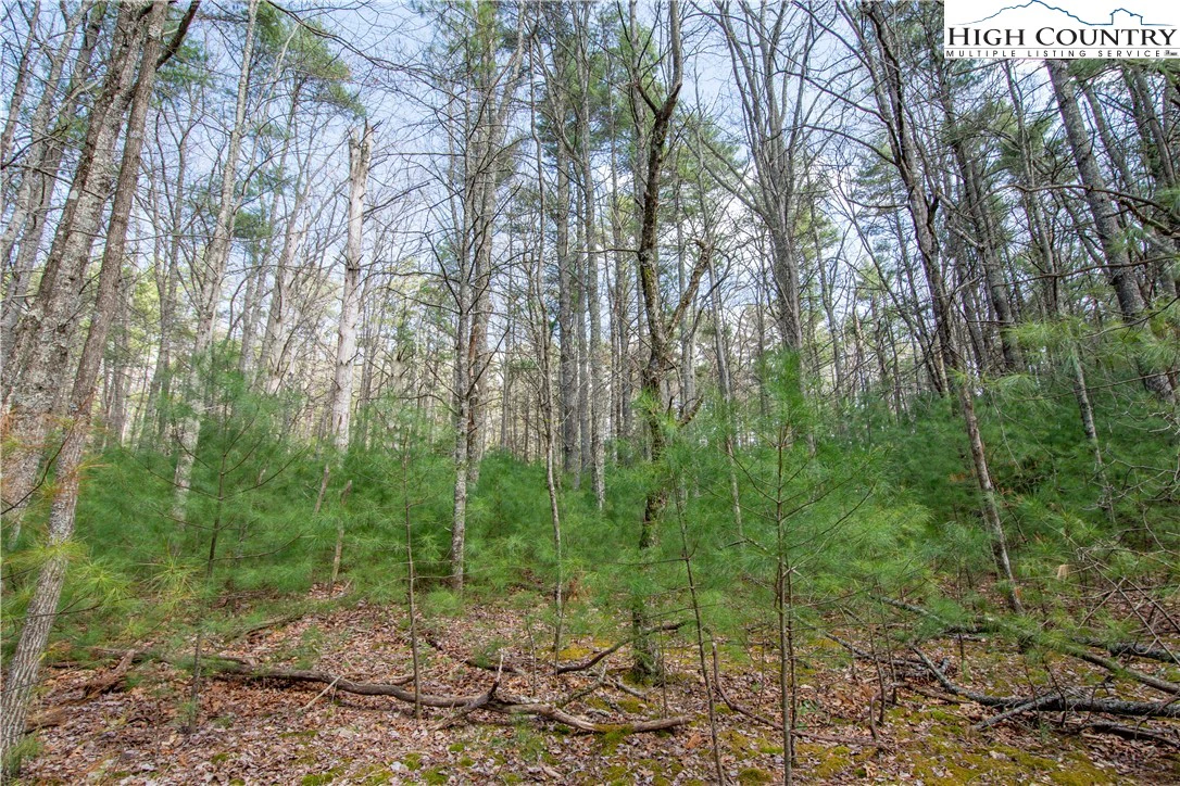 Image number 3 for the current listing