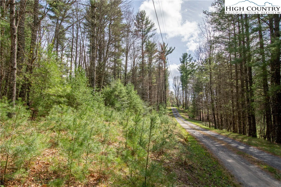 Image number 5 for the current listing