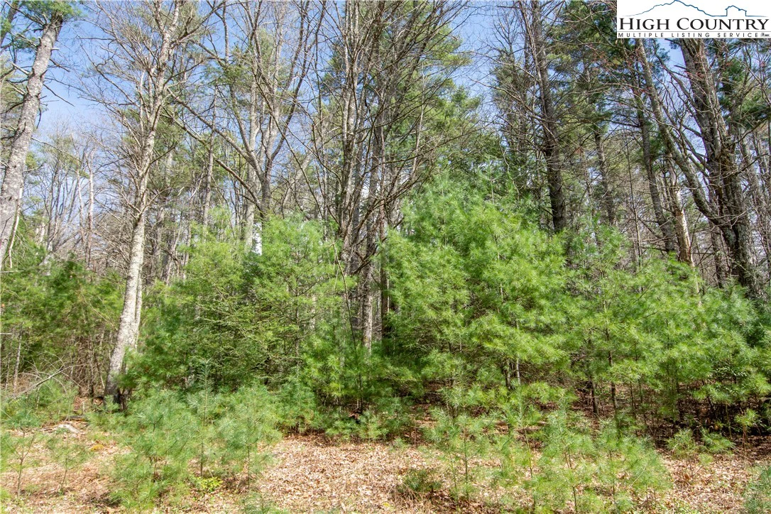 Image number 6 for the current listing