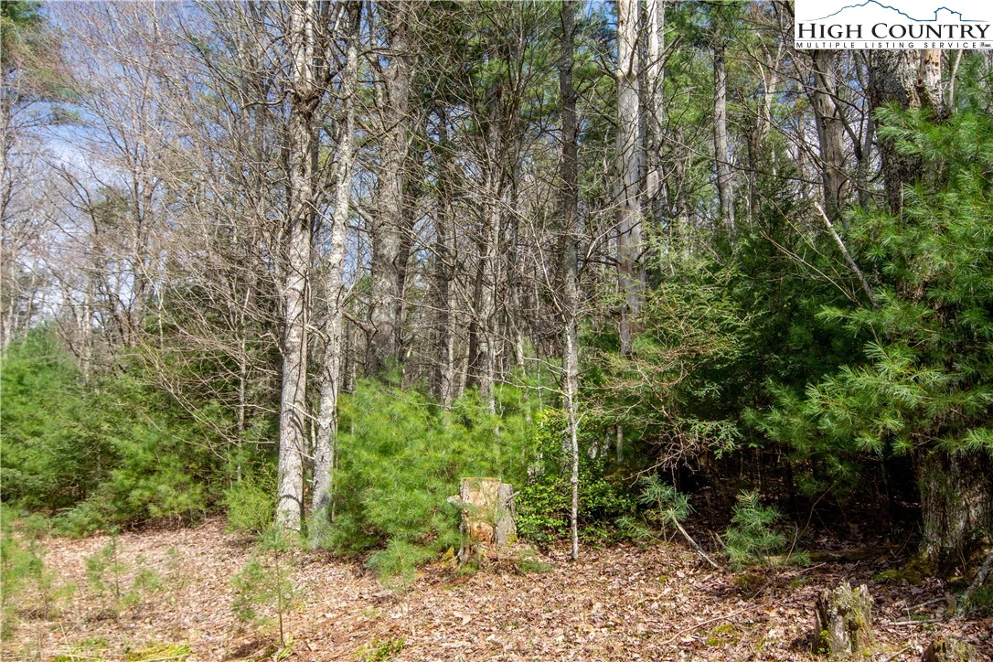 Image number 7 for the current listing
