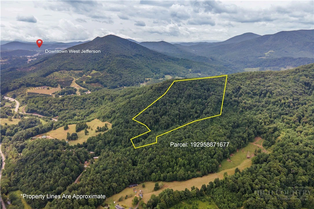 Image number 1 for the current listing