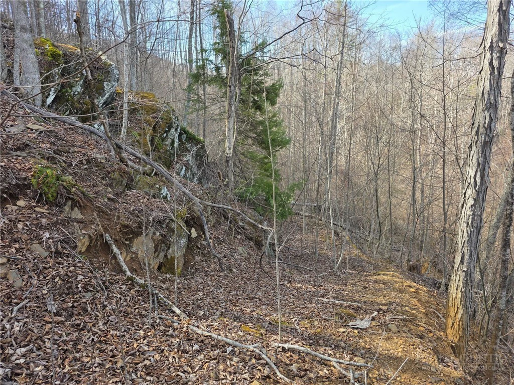 Image number 7 for the current listing