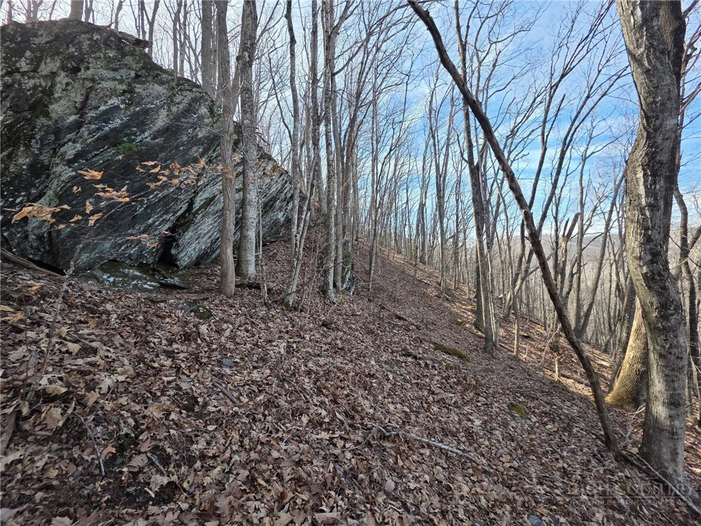 Image number 11 for the current listing