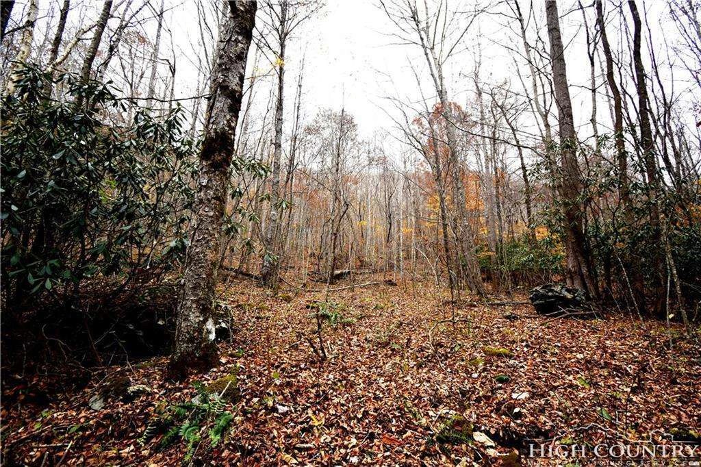 Image number 18 for the current listing