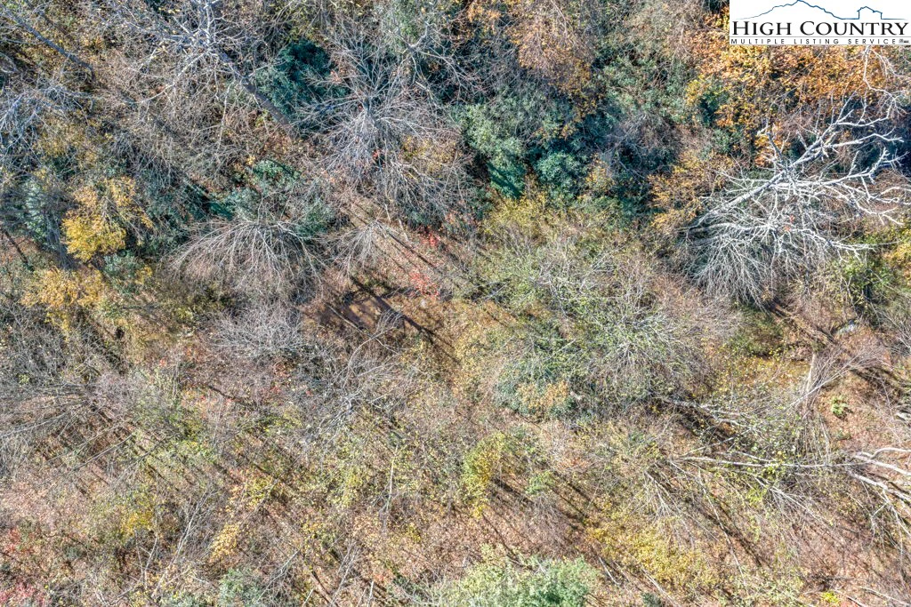 Image number 3 for the current listing