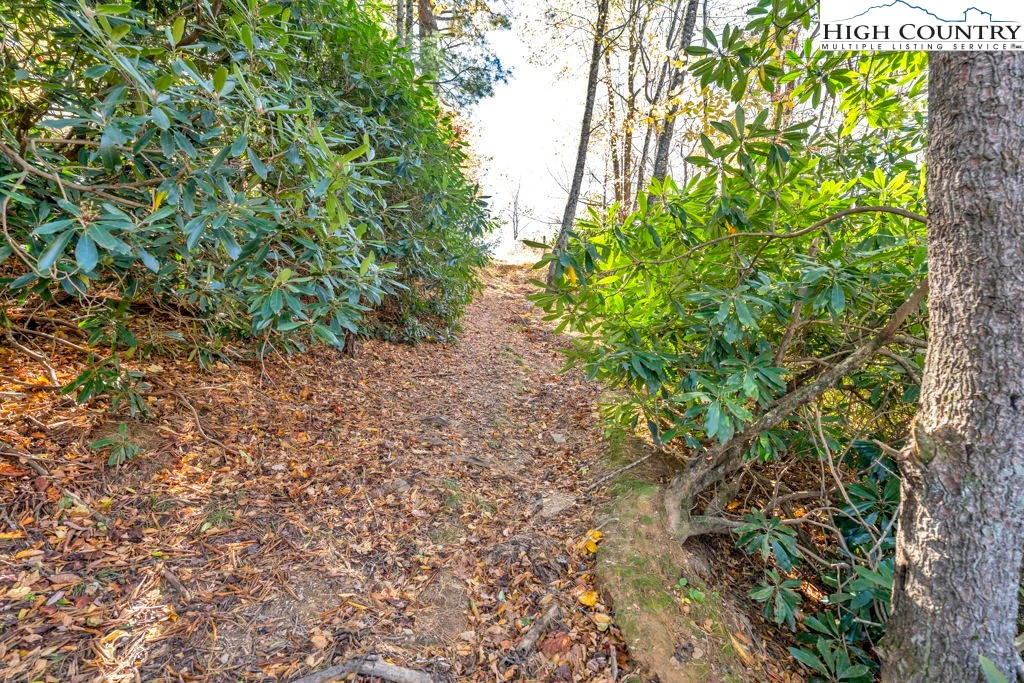 Image number 11 for the current listing