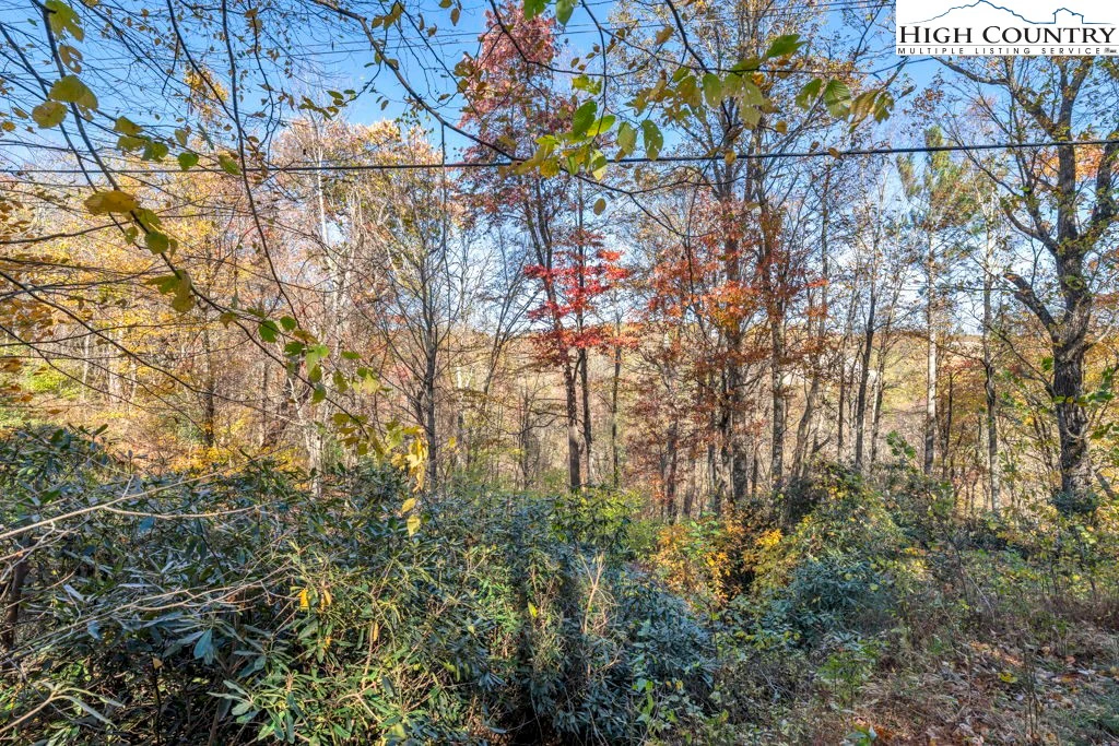 Image number 9 for the current listing