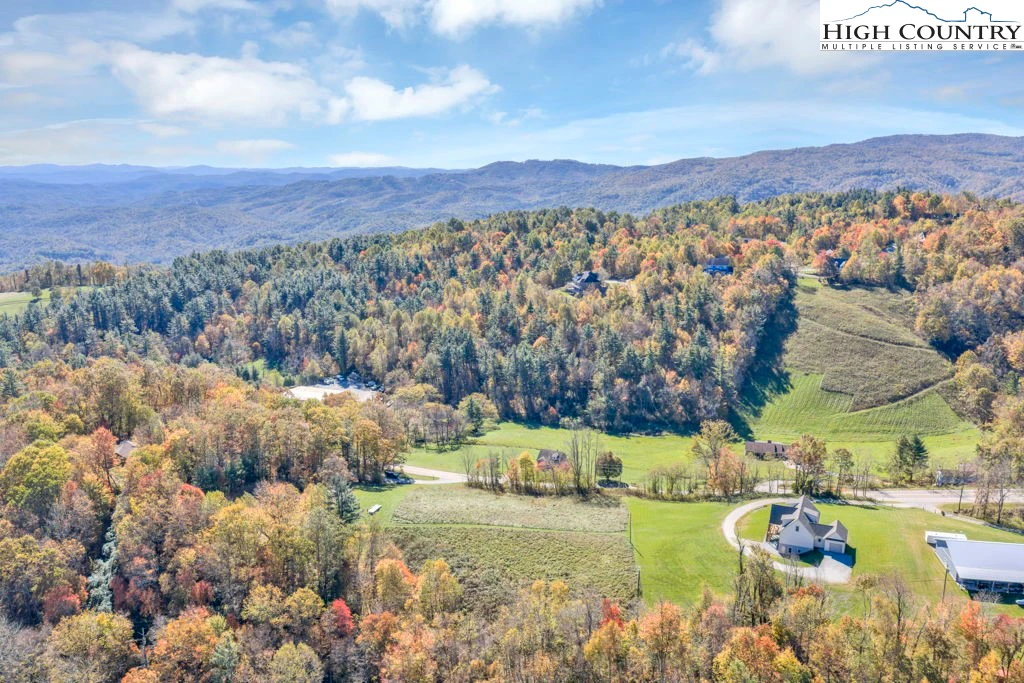 Image number 1 for the current listing