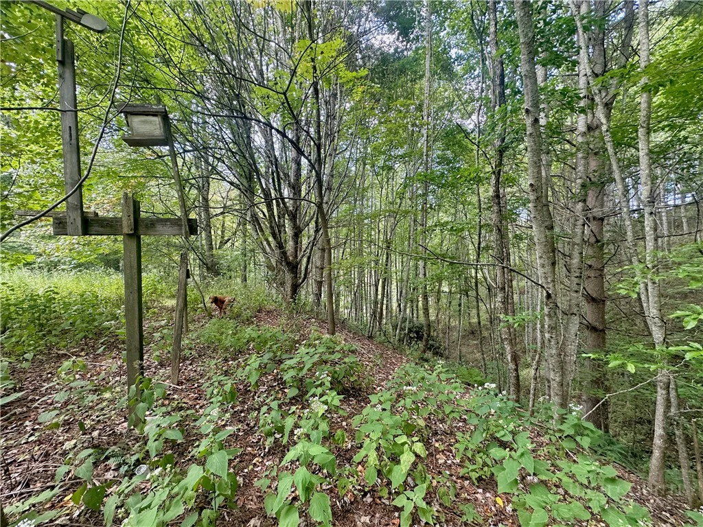 Image number 21 for the current listing