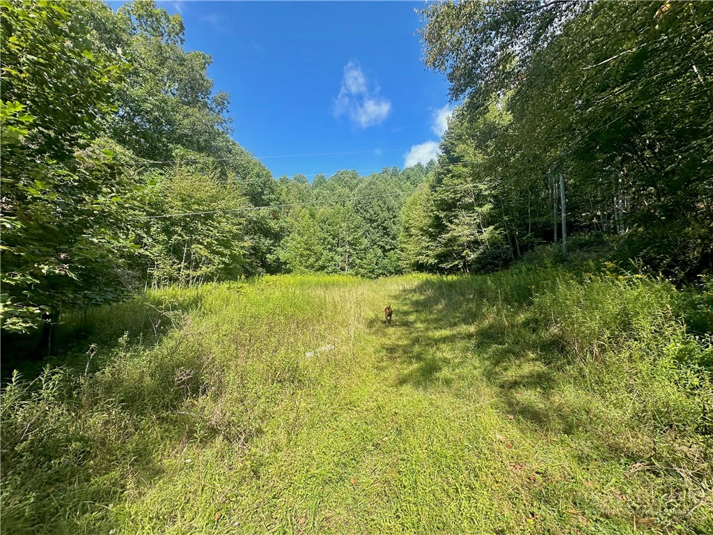 Image number 1 for the current listing