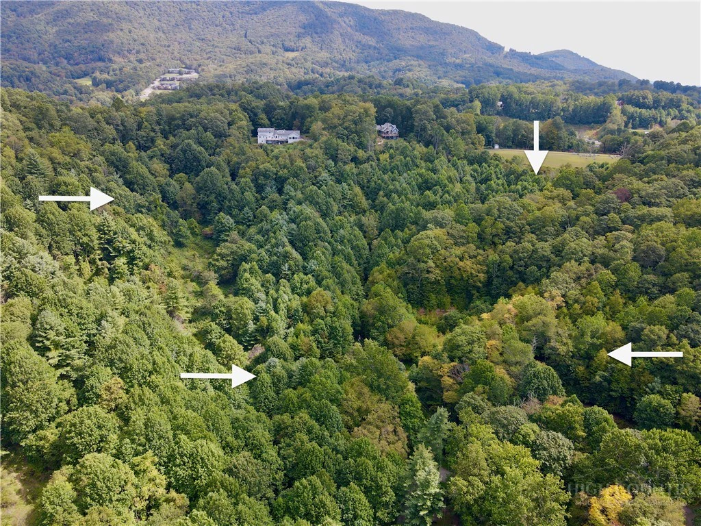 Image number 4 for the current listing