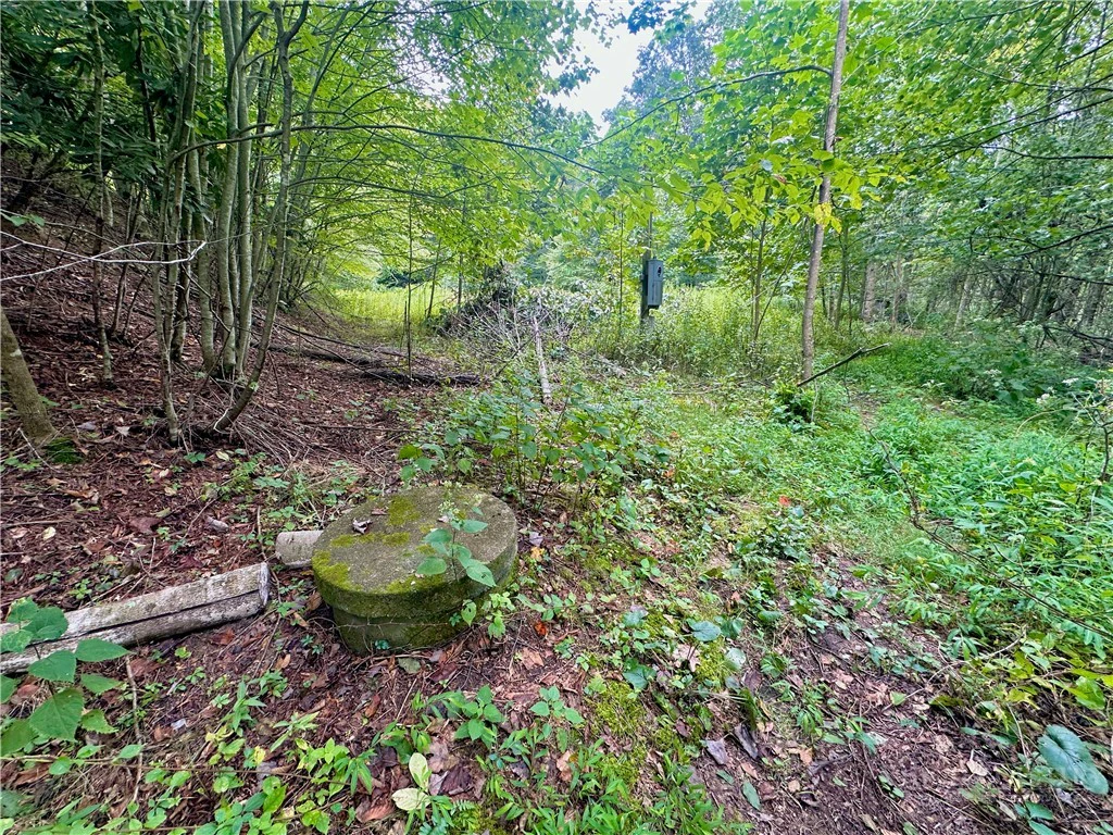 Image number 8 for the current listing