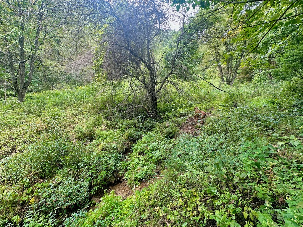 Image number 9 for the current listing