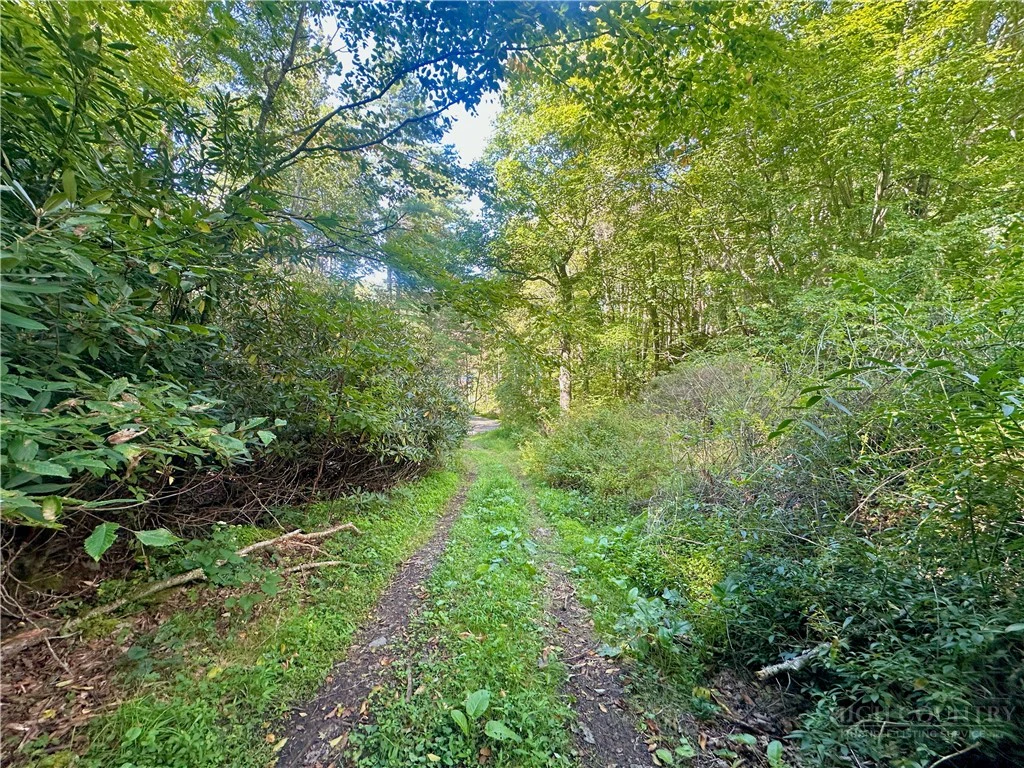 Image number 10 for the current listing