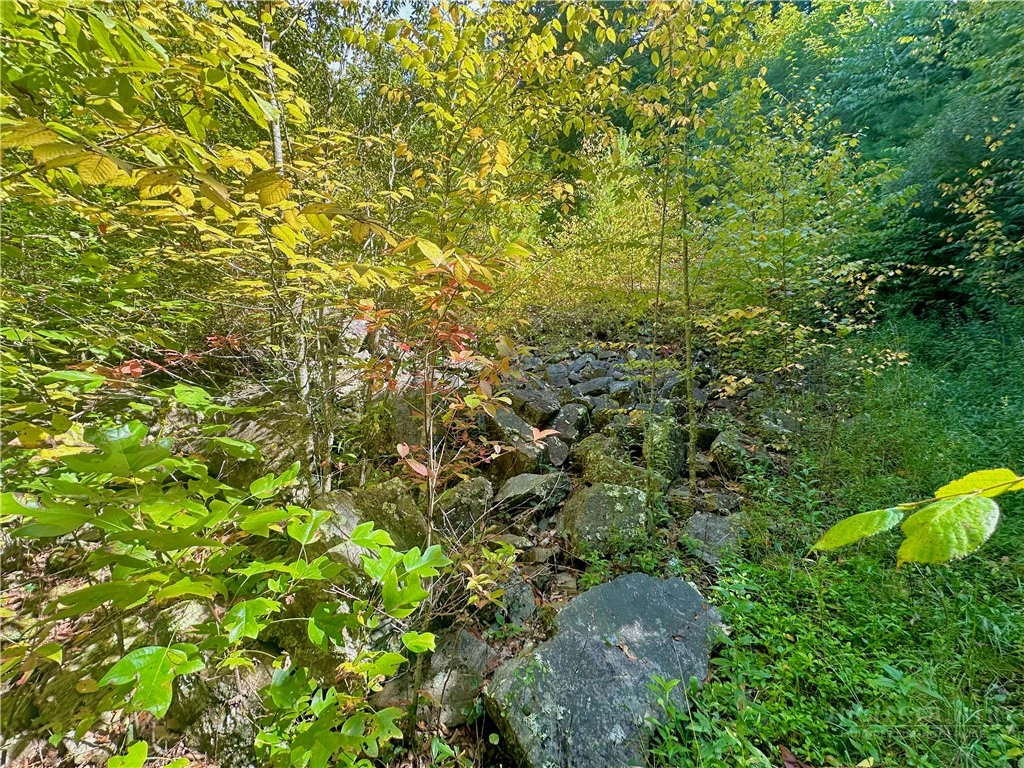 Image number 11 for the current listing