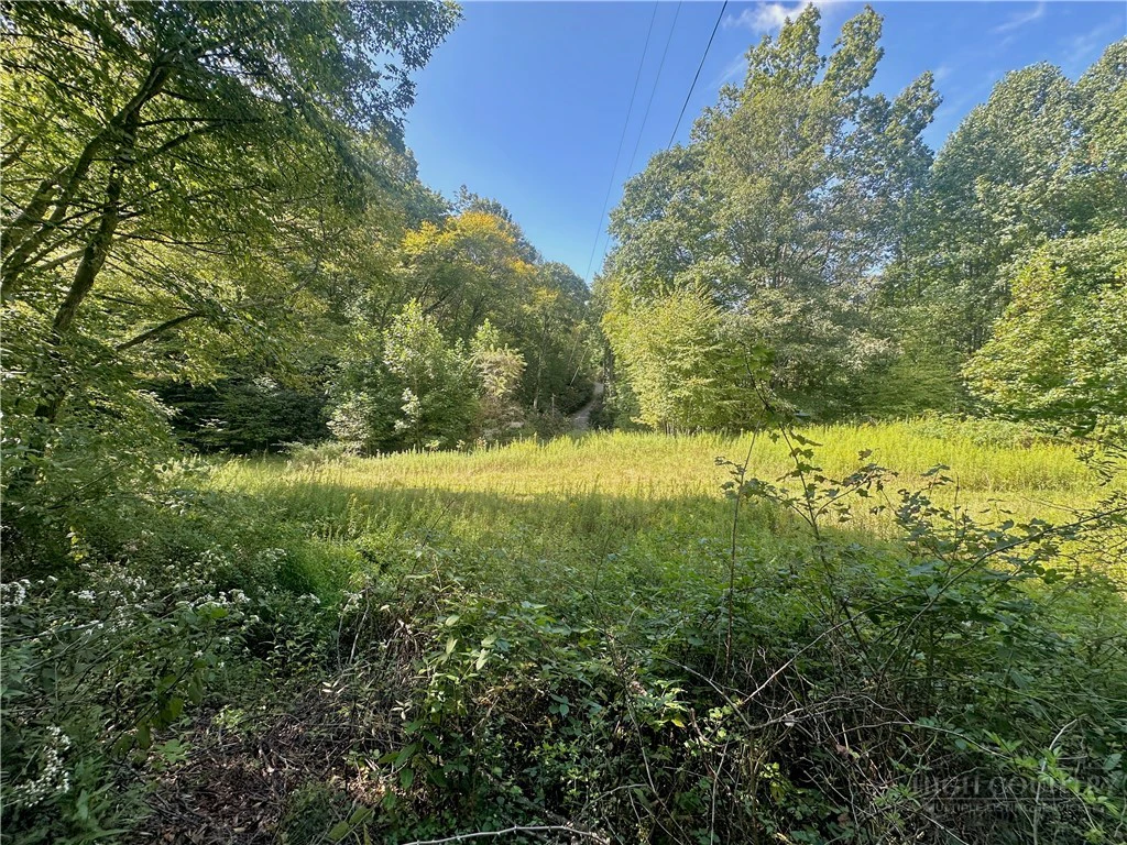 Image number 12 for the current listing