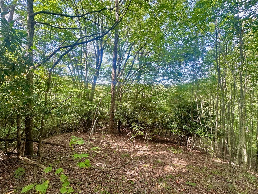 Image number 13 for the current listing
