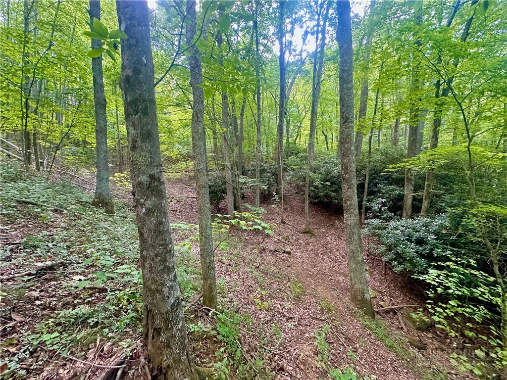 Image number 14 for the current listing
