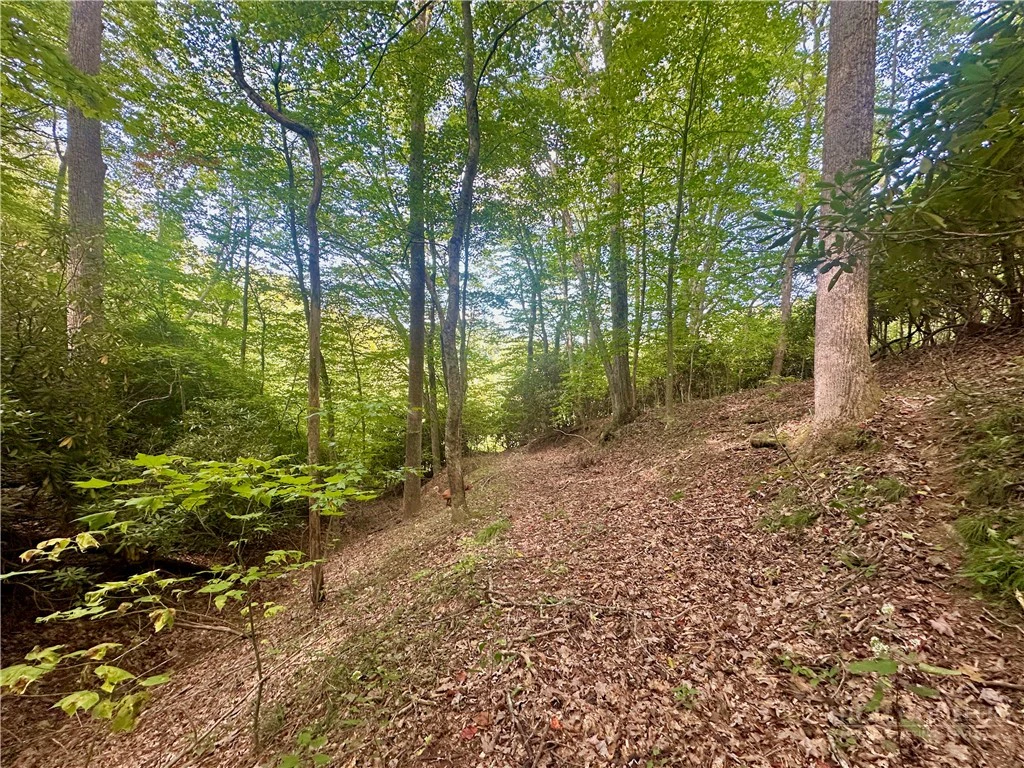 Image number 15 for the current listing