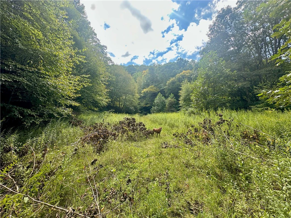 Image number 20 for the current listing