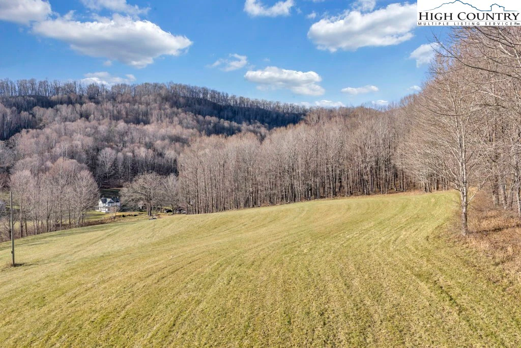 Image number 1 for the current listing