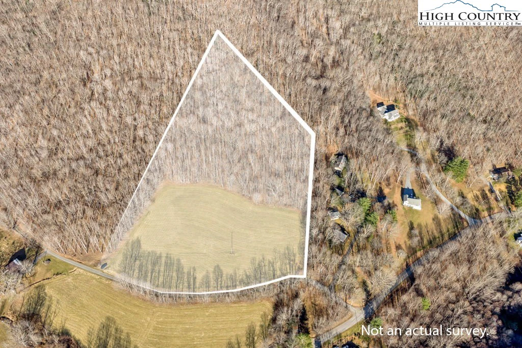 Image number 4 for the current listing