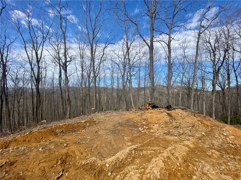 Image number 3 for the current listing