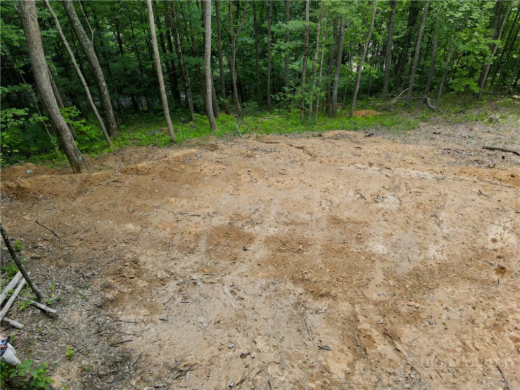 Image number 4 for the current listing