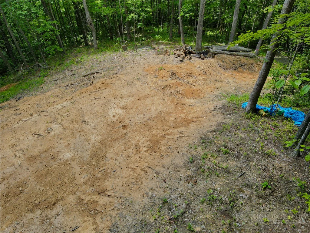 Image number 5 for the current listing