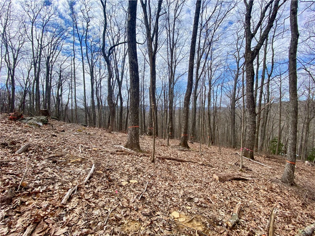 Image number 12 for the current listing