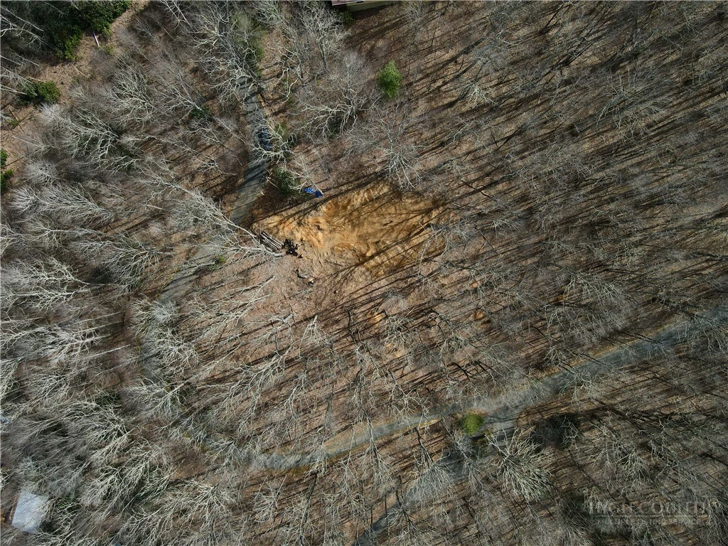 Image number 13 for the current listing