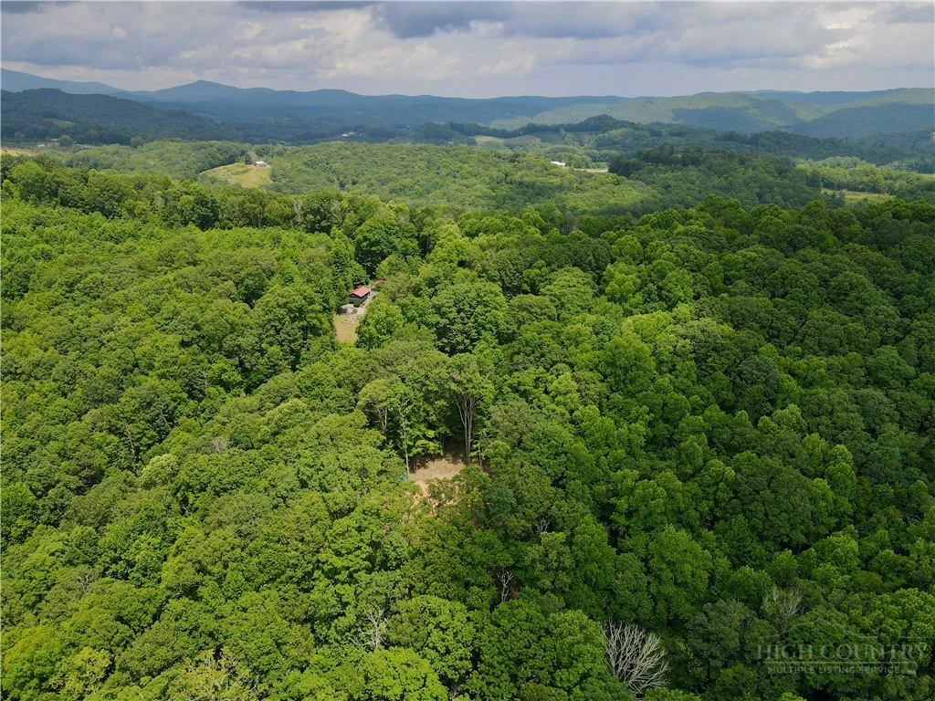 Image number 18 for the current listing