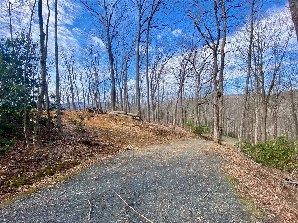 Image number 1 for the current listing