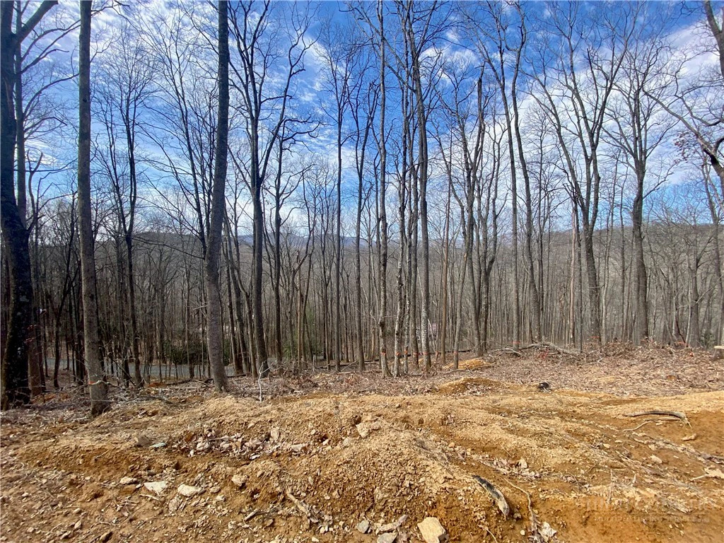 Image number 2 for the current listing