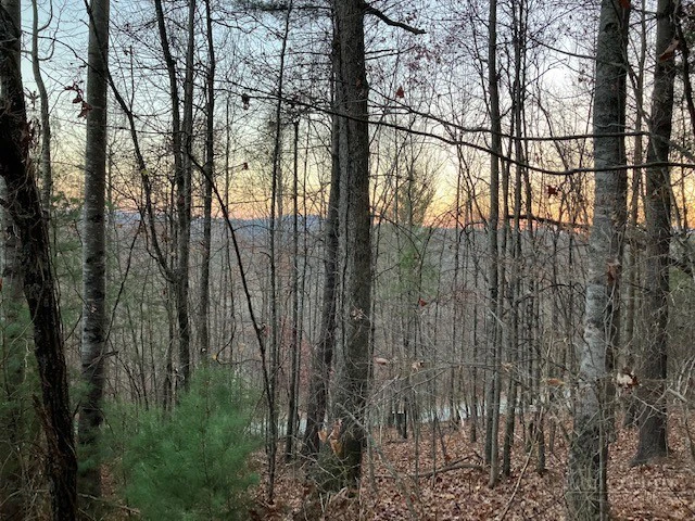 Image number 2 for the current listing
